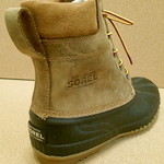 �\�����^�V���C�A�����[�X�t���O���C���^�m�l�P�V�O�S�^�O�X