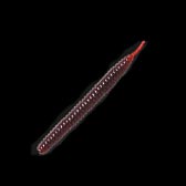 �f�v�X�^�f�X�A�_�[�X�e�B�b�N�U�D�T�C���`